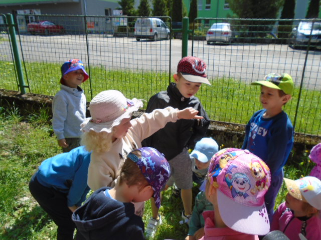 DSC07020