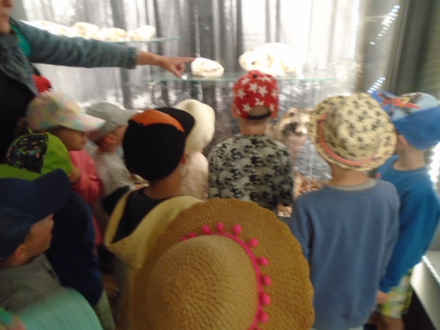 DSC07030